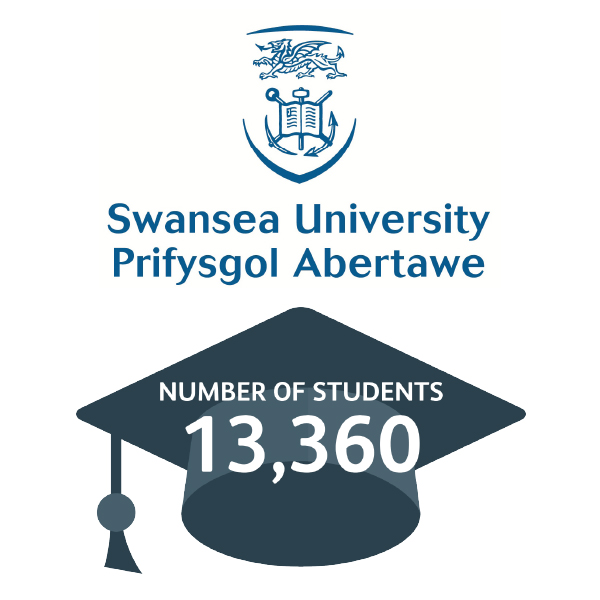 Swansea University