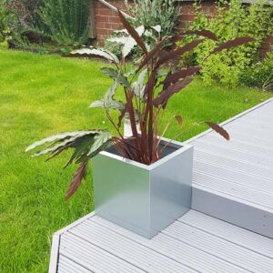 Galvanised Steel Medium Square Flower Planter on decking